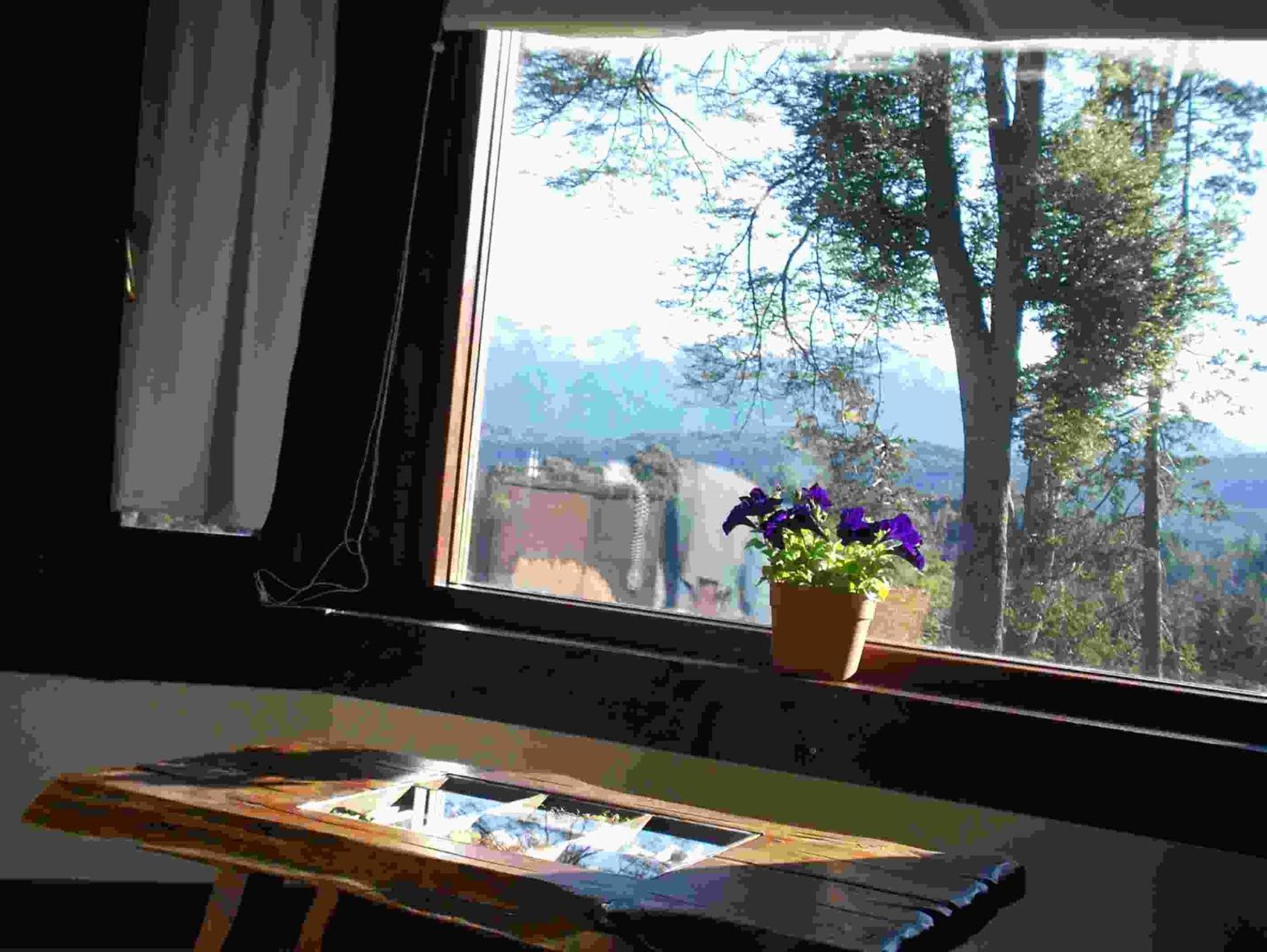Hosteria Naranjo En Flor Villa La Angostura Buitenkant foto